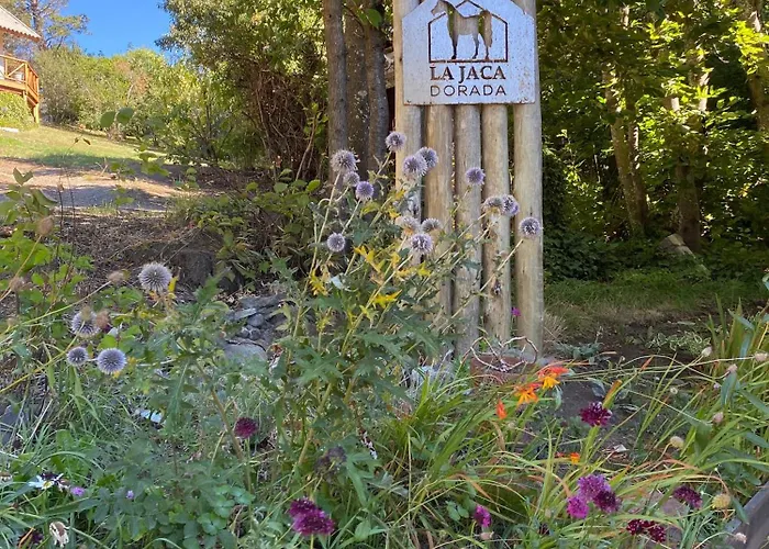 La Jaca Dorada